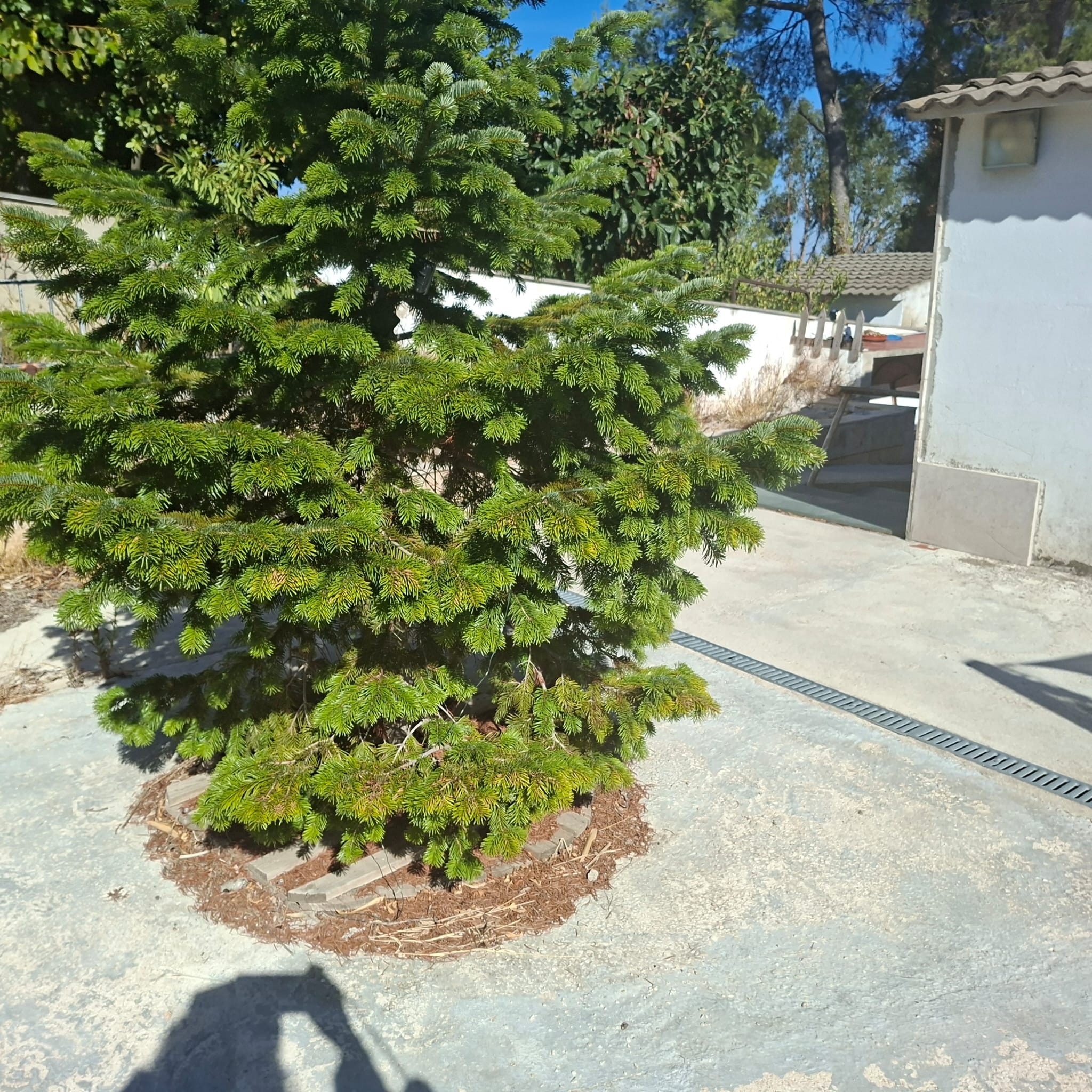 Piso de 1 habitación en Barcelona, foto 17